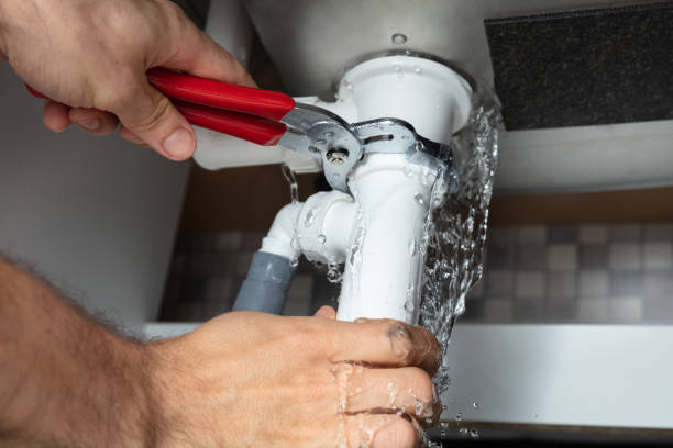 Best Local water damage restoration  in Normandy Park, WA