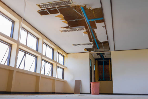 Best Flood restoration services  in Normandy Park, WA