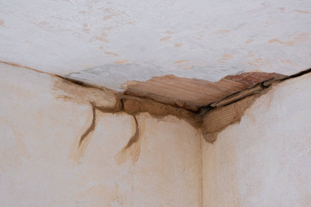 Best Water damage restoration near me  in Normandy Park, WA