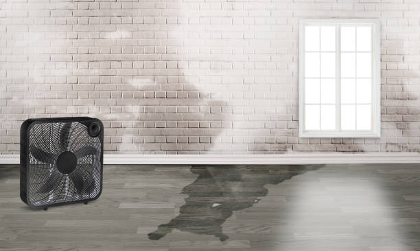 Best 24/7 water damage repair  in Normandy Park, WA