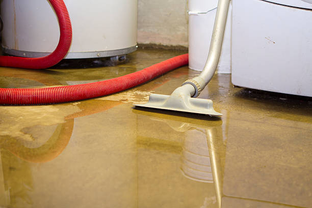  Normandy Park, WA Water damage restoration Pros
