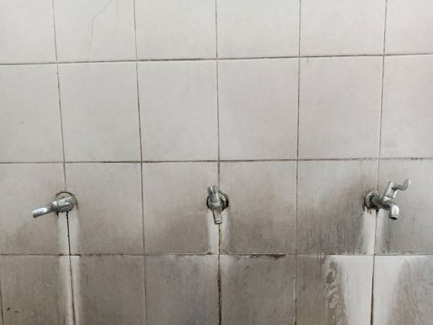Best Flood damage cleanup  in Normandy Park, WA