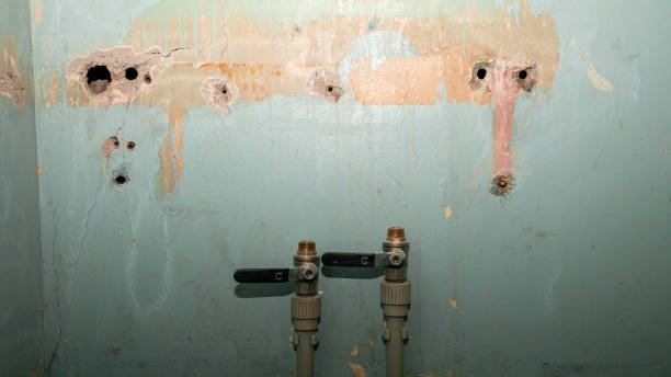 Best Emergency water damage restoration  in Normandy Park, WA