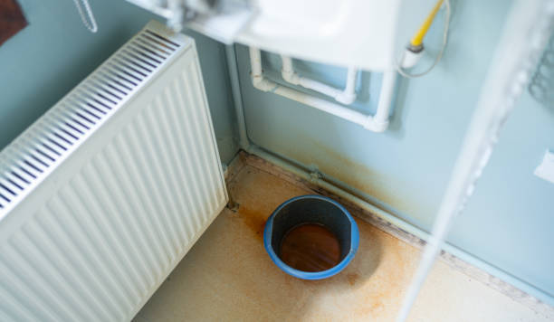 Best Sewage cleanup and water damage restoration  in Normandy Park, WA