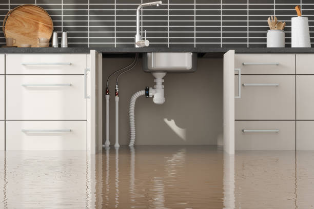 Best Local water damage restoration  in Normandy Park, WA